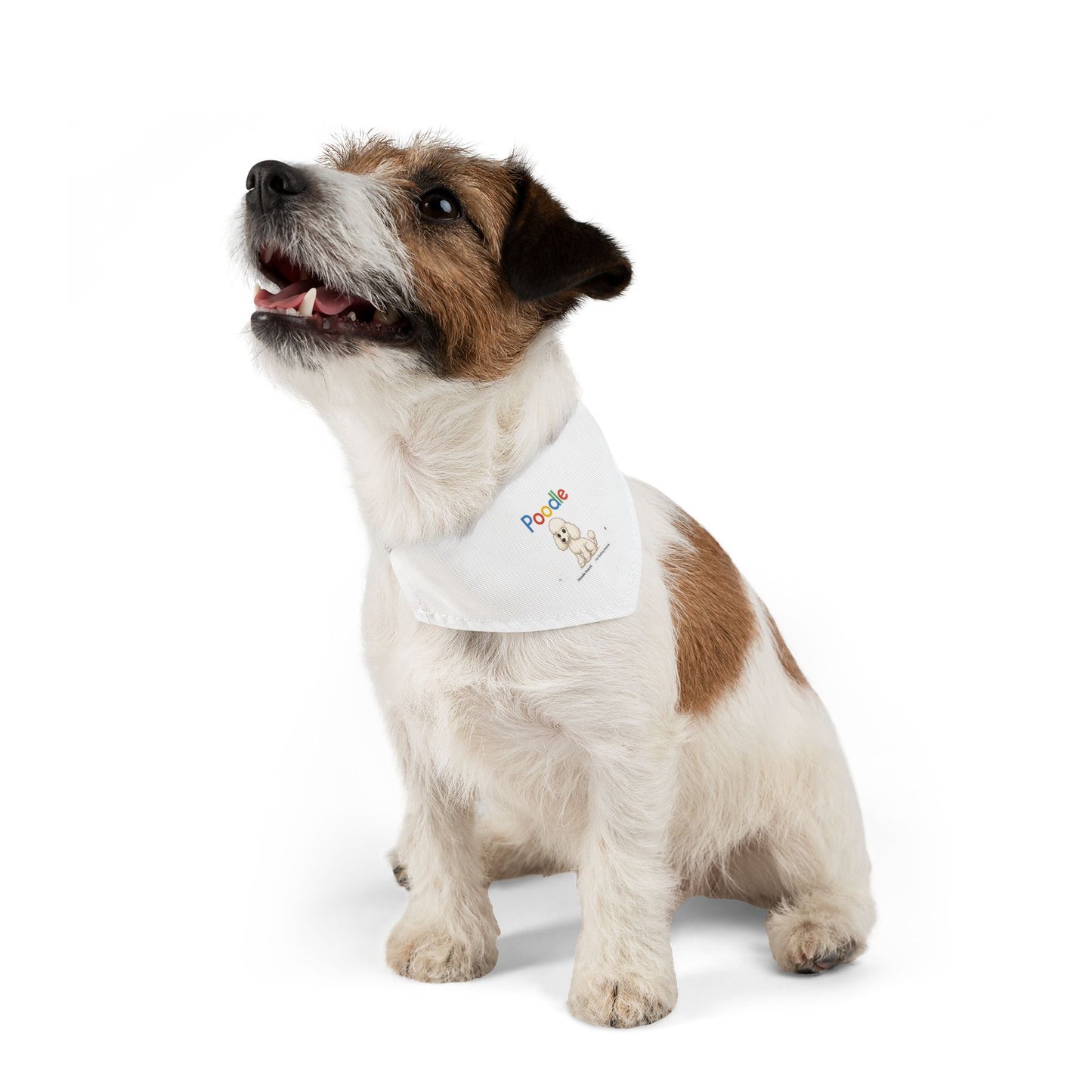 Poodle Bandana