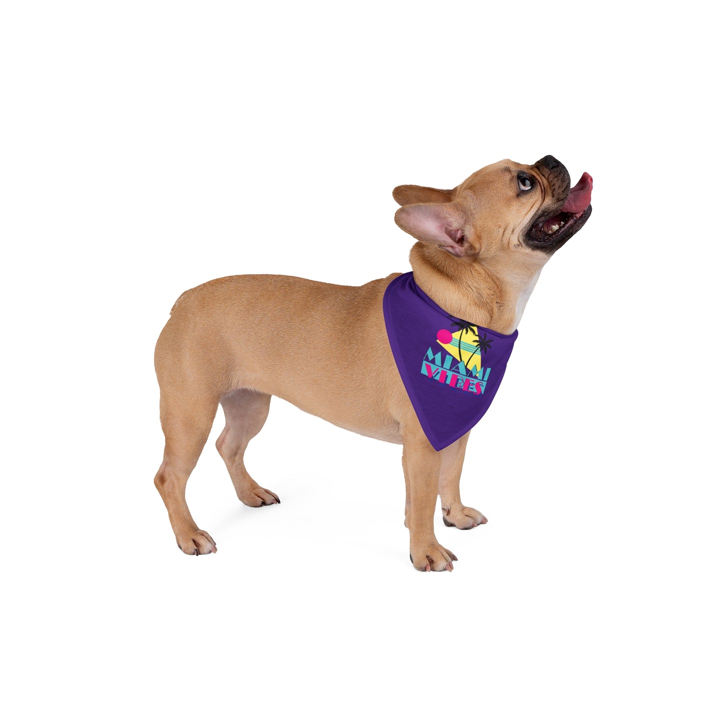 Miami Vibes Dog Bandana