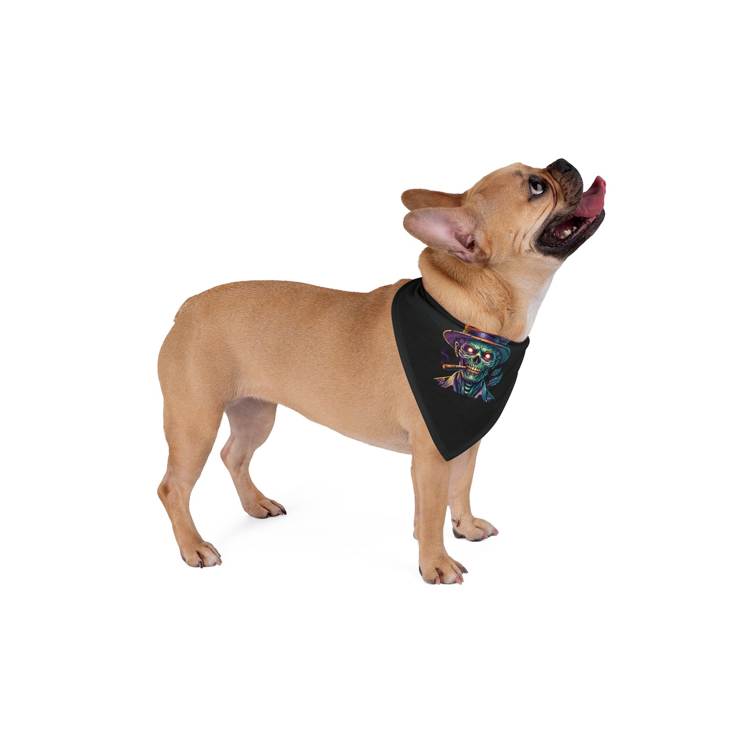 Island Zombie Dog Black Bandana
