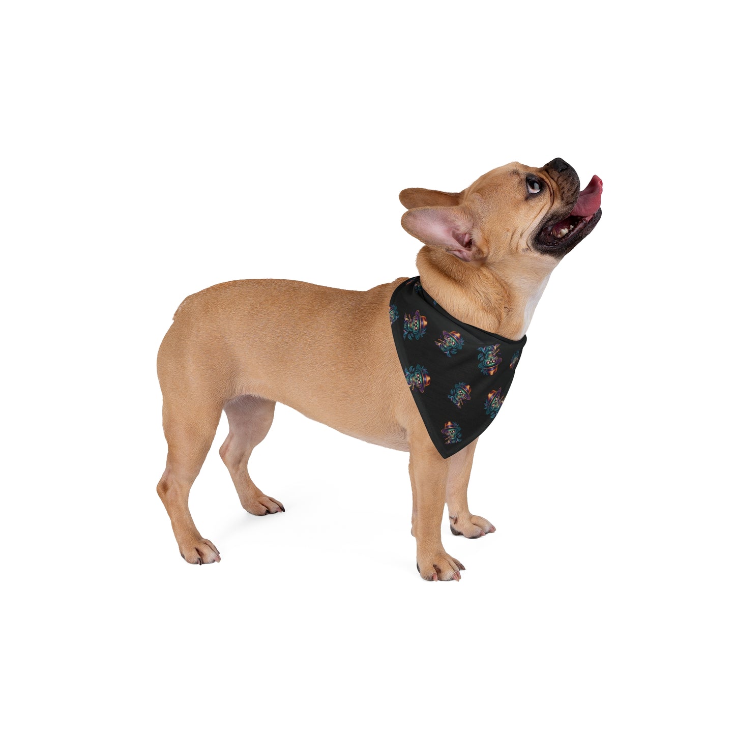 Island Zombie Pet Bandana