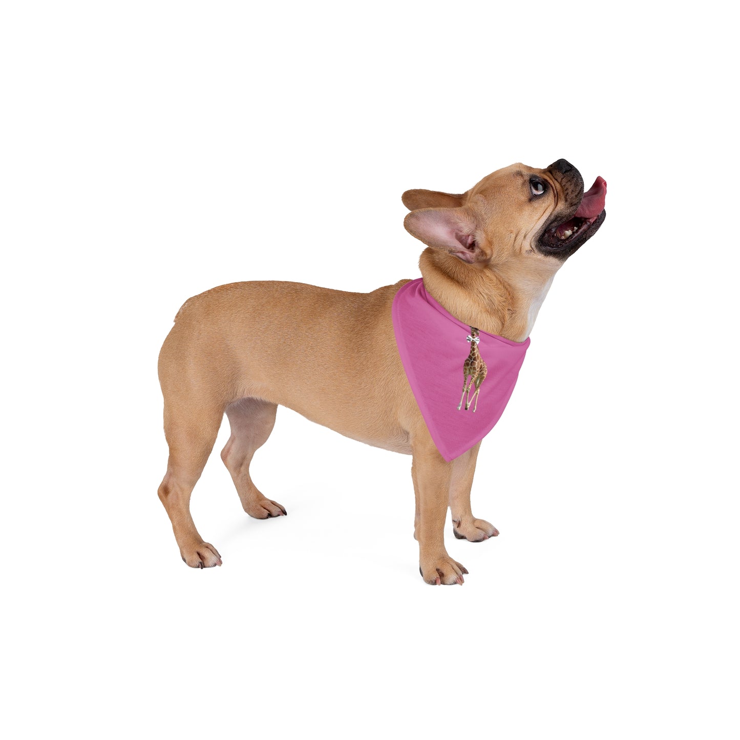 Giraffe Bow Tie Dog Bandana