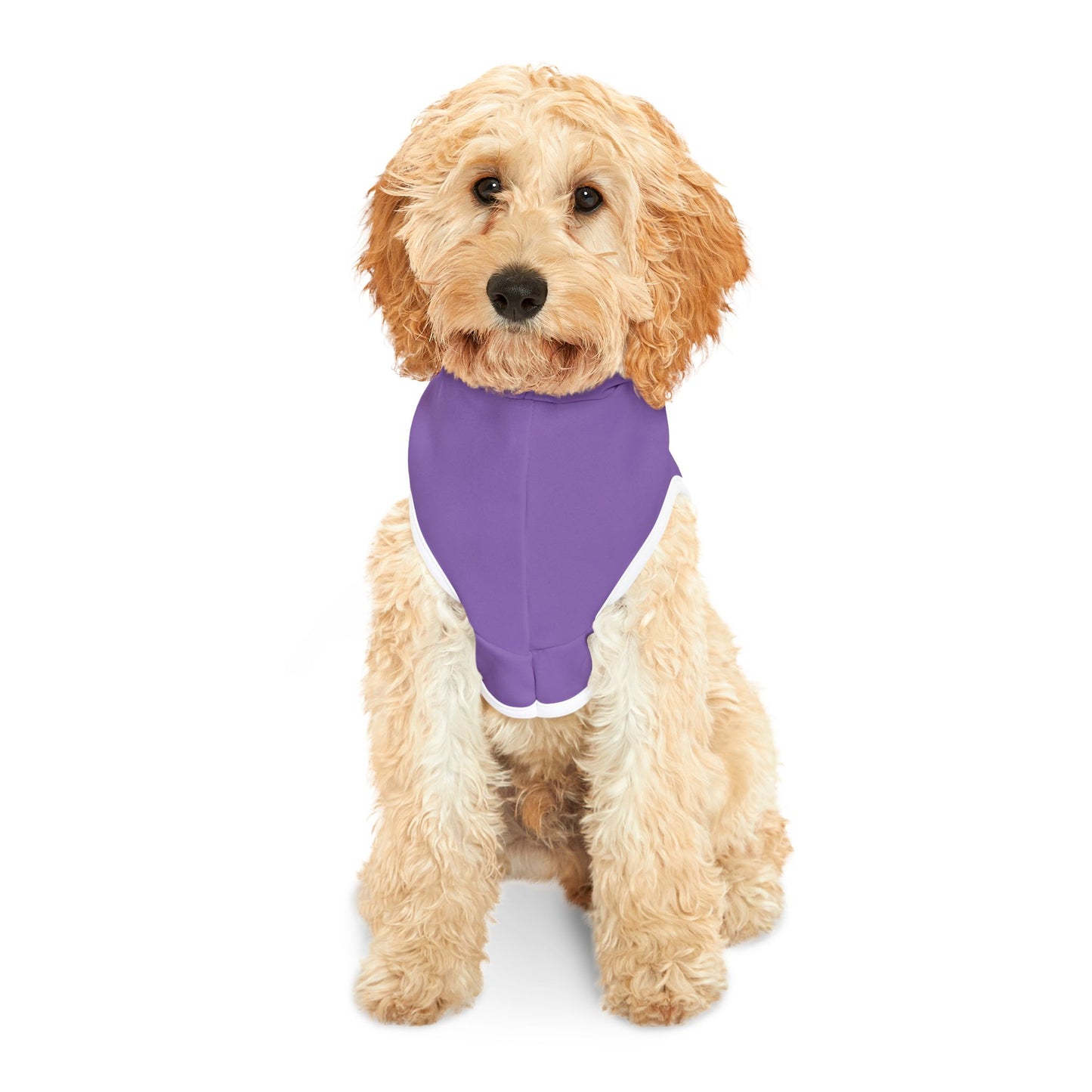 Miami Retro Vibes Pet Hoodie