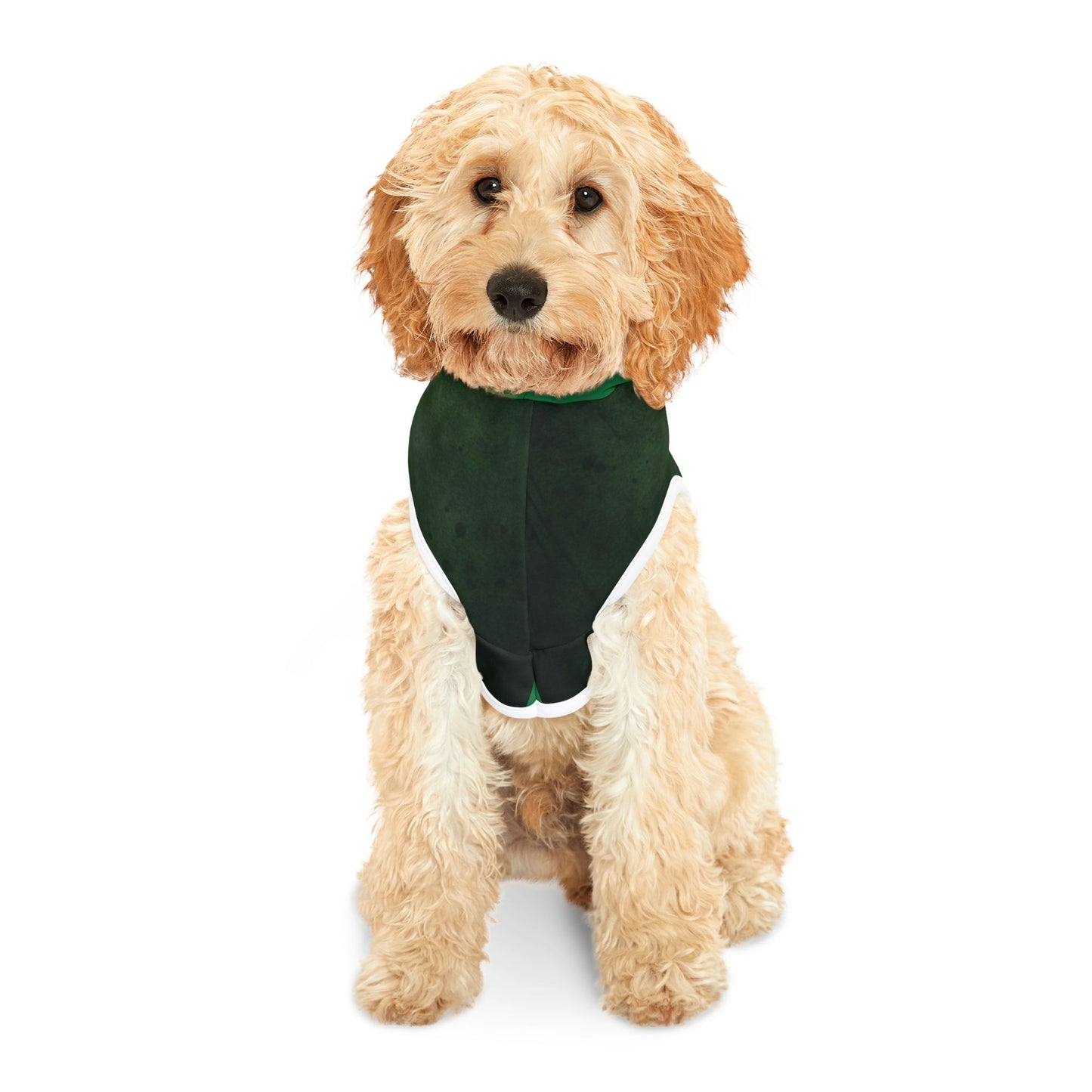 Island Zombie Pet Hoodie