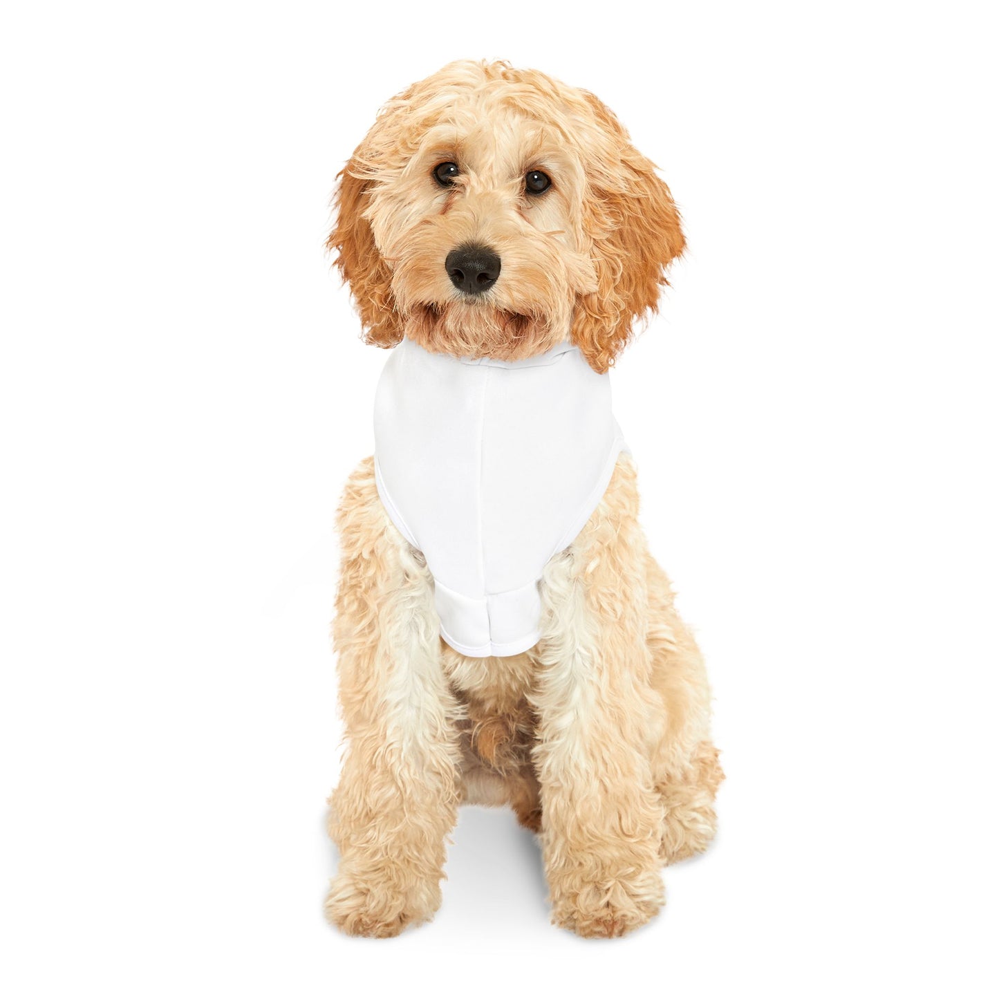 Doodle Dog Hoodie Dog Gift